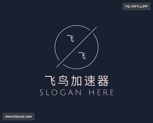 关于飞鸟加速器